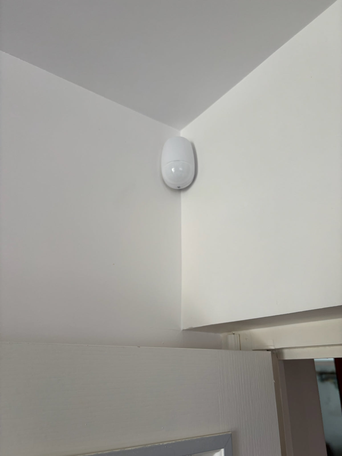 Visuel 2 — Capteur sans photo intérieur sans fil PIRCAM 12 m – Immunisé animaux <30 kg